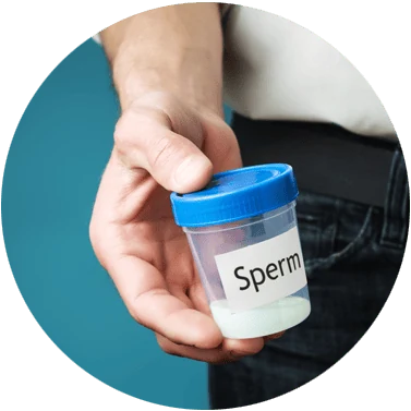 Preparing a sperm sample for a seminal fluid analysis test